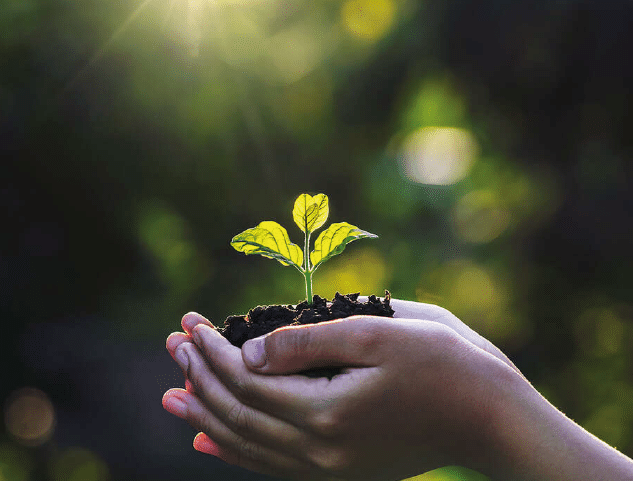 C’est la semaine du Développement Durable !