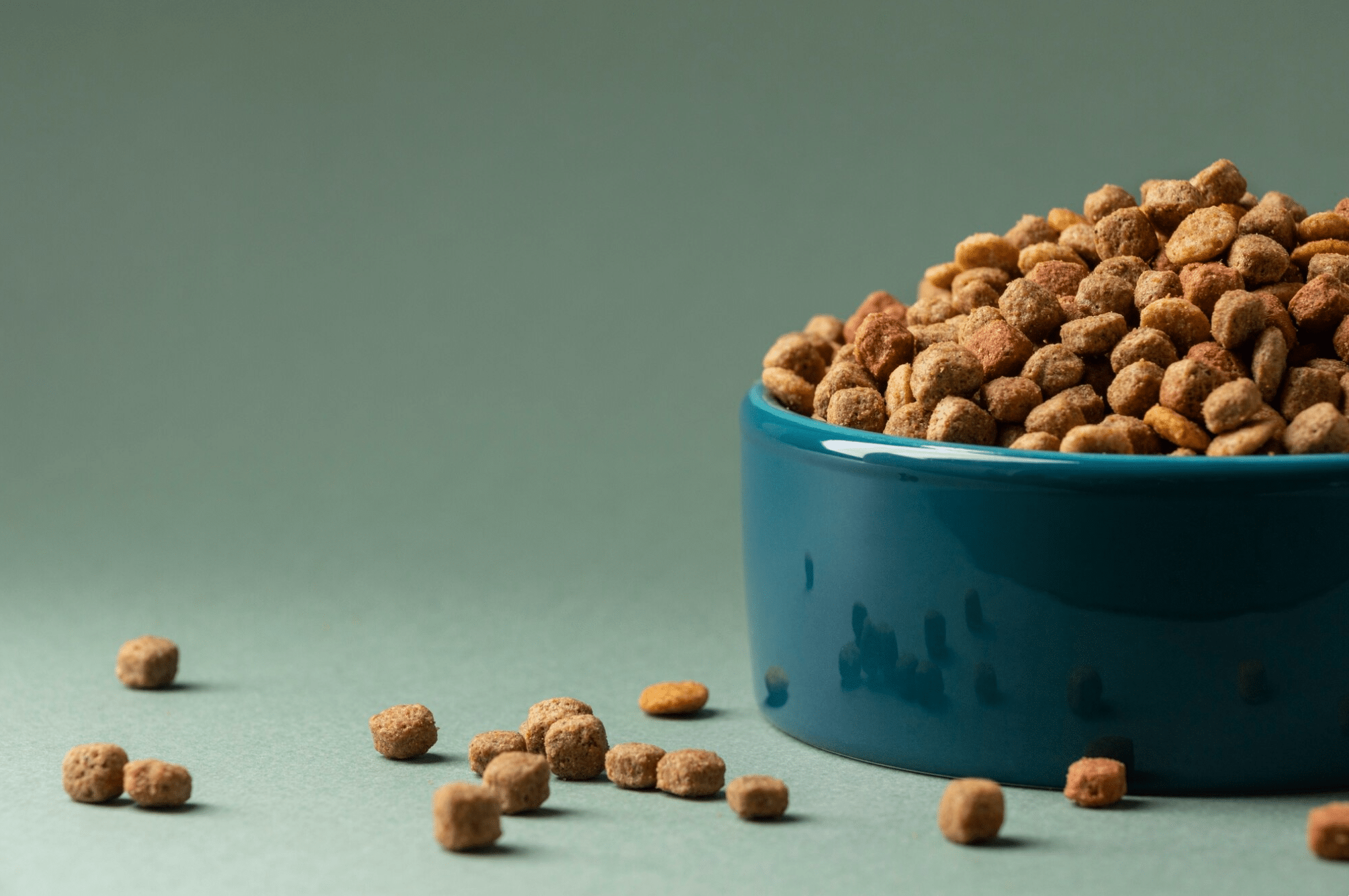 enjeux durabilité industrie petfood