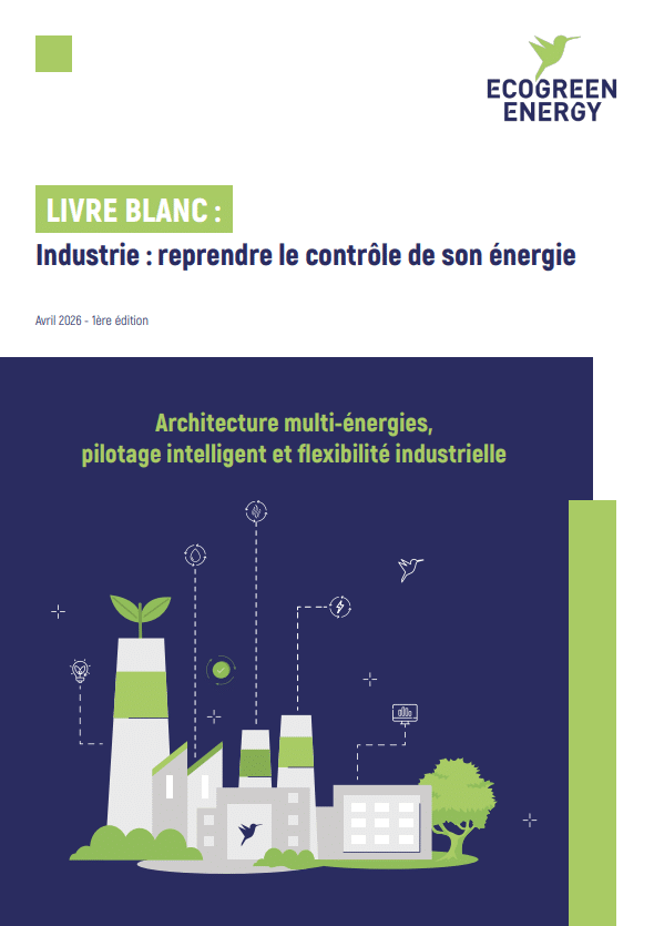 image de couverture livre blanc - mix énergétique et flexibilité